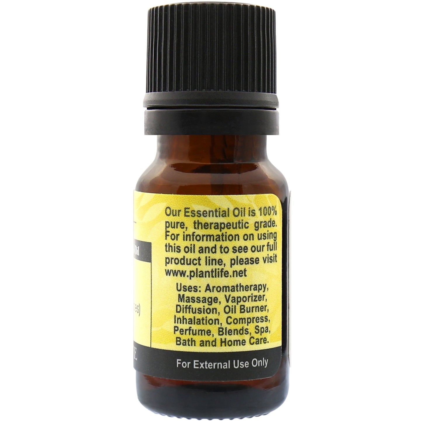 Vetiver Essential Oil – Deep Smoky Earthy Base Note | Plantlife