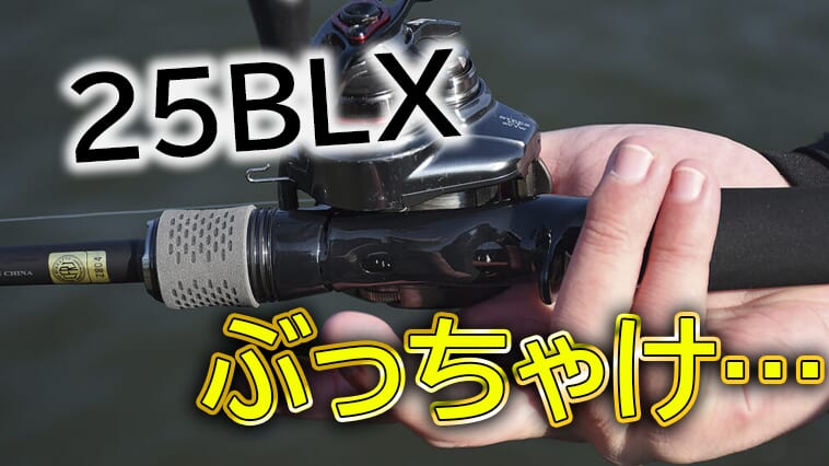 DAIWA最新ロッド実力検証！ルアマガ編集長のお気に入りは…⁉│ルアマガ