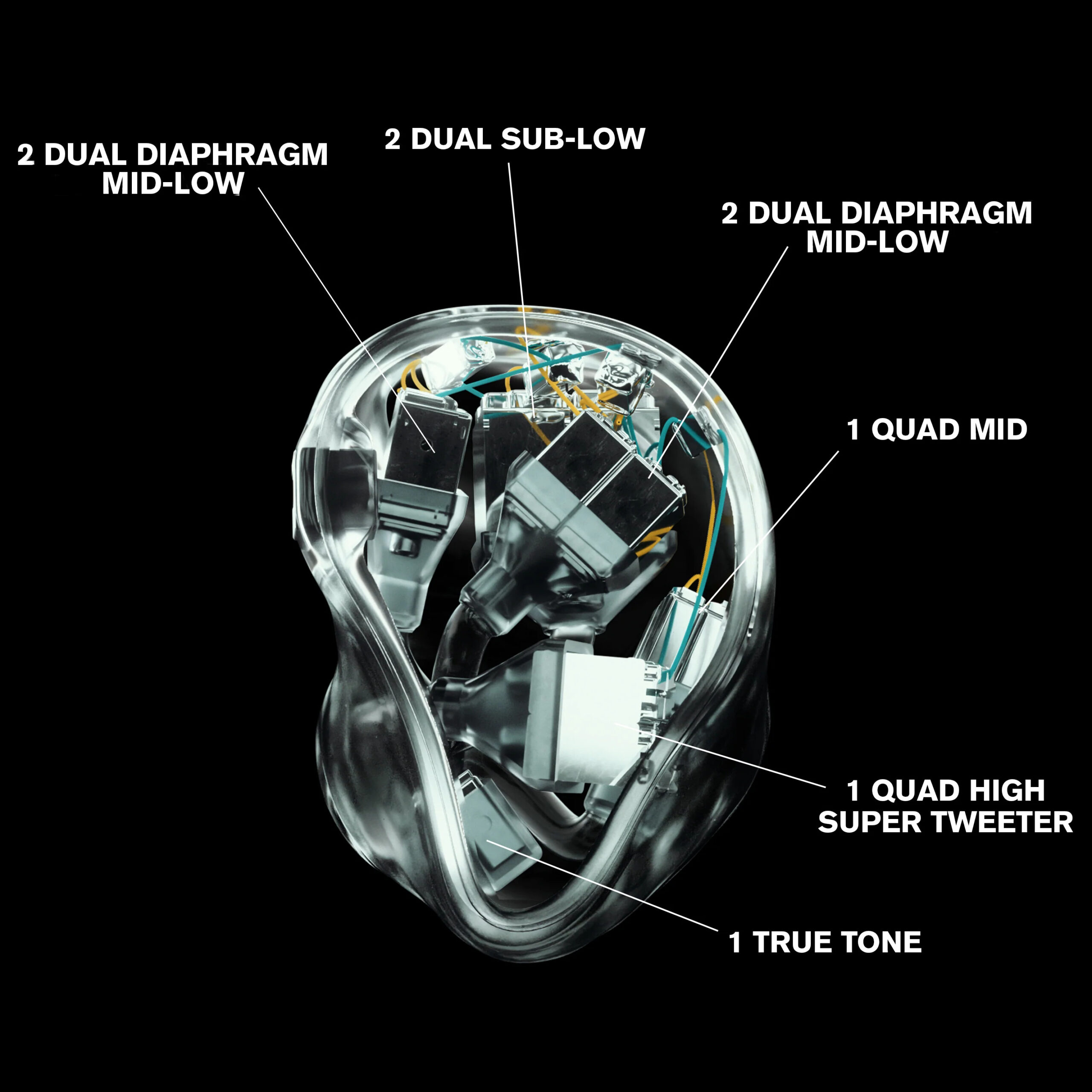 UE Premier Custom IEM | Pro-Earz