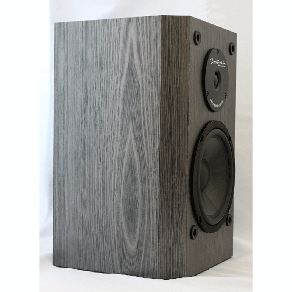 BIC DV62si 16.5センチウーファーのスピーカー 1個売り