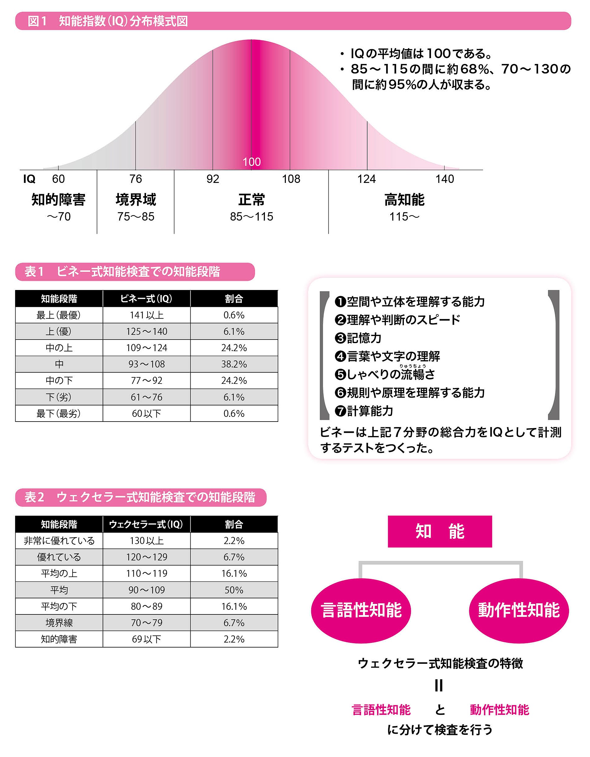 知能検査 子どもの精神的能力・発達をさまざまな角度から計測