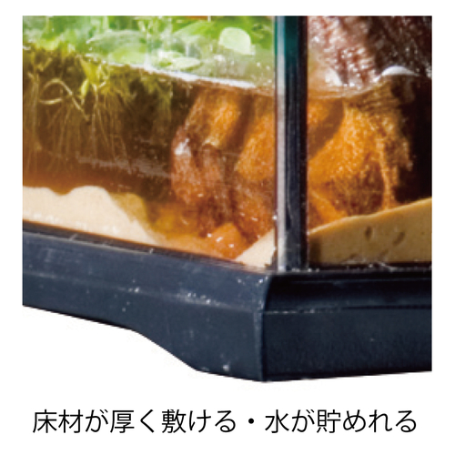 グラステラリウム3030 PT2600 | ジェックス株式会社
