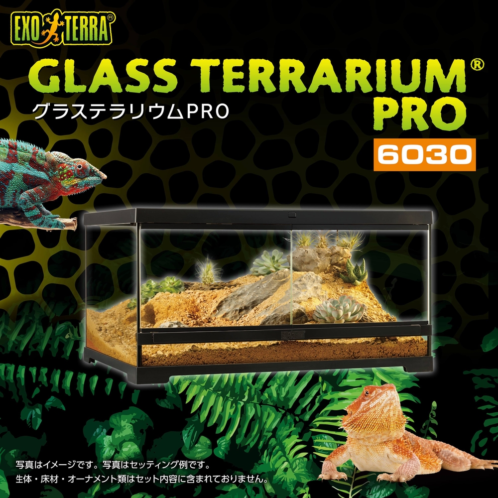 グラステラリウムPRO6030 PT4407 | ジェックス株式会社