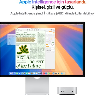 Apple Mac Mini M4 16GB 512GB SSD macOS Mini PC MU9E3TU/A Fiyatı