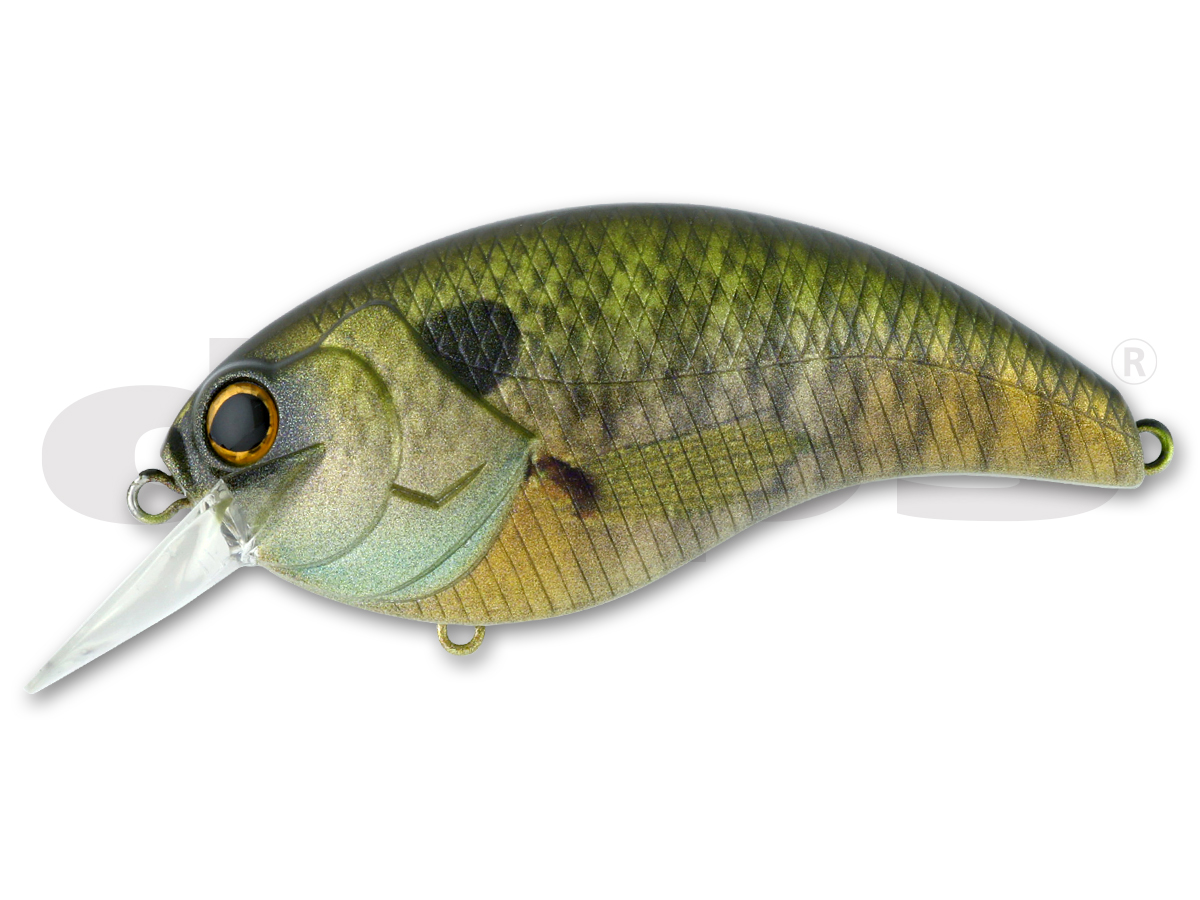 EVOKE 4.0 | deps OFFICIAL HP | デプス 公式HP