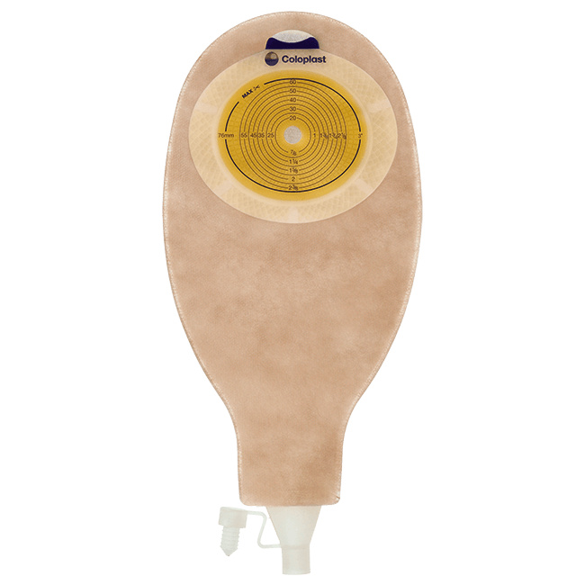 センシュラ1 イレオ