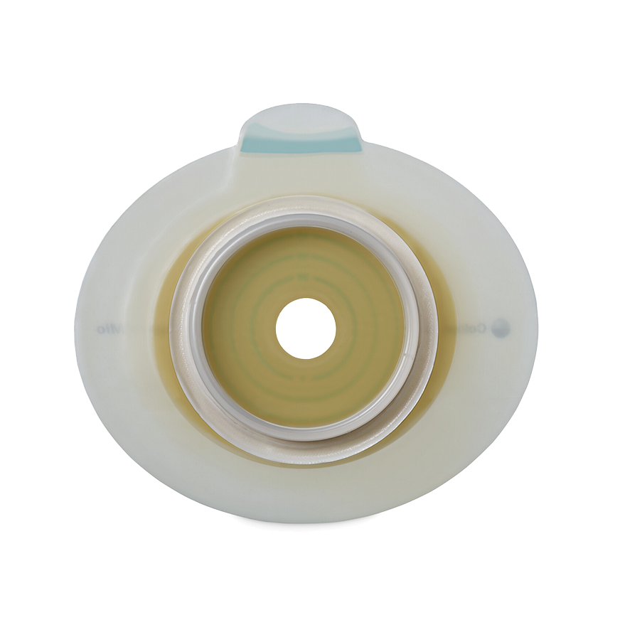 センシュラ ミオ2 プレート