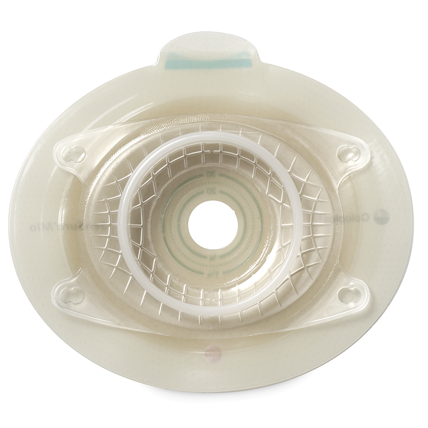 センシュラミオ2 プレート(二品系) 品番10513 6箱 計30枚 センシュラ