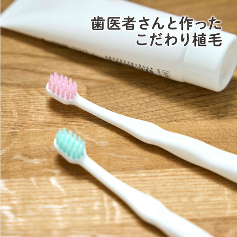 仕上げ歯ブラシ 優しくしっかり磨ける2本入りの歯ブラシ – EDISONmama