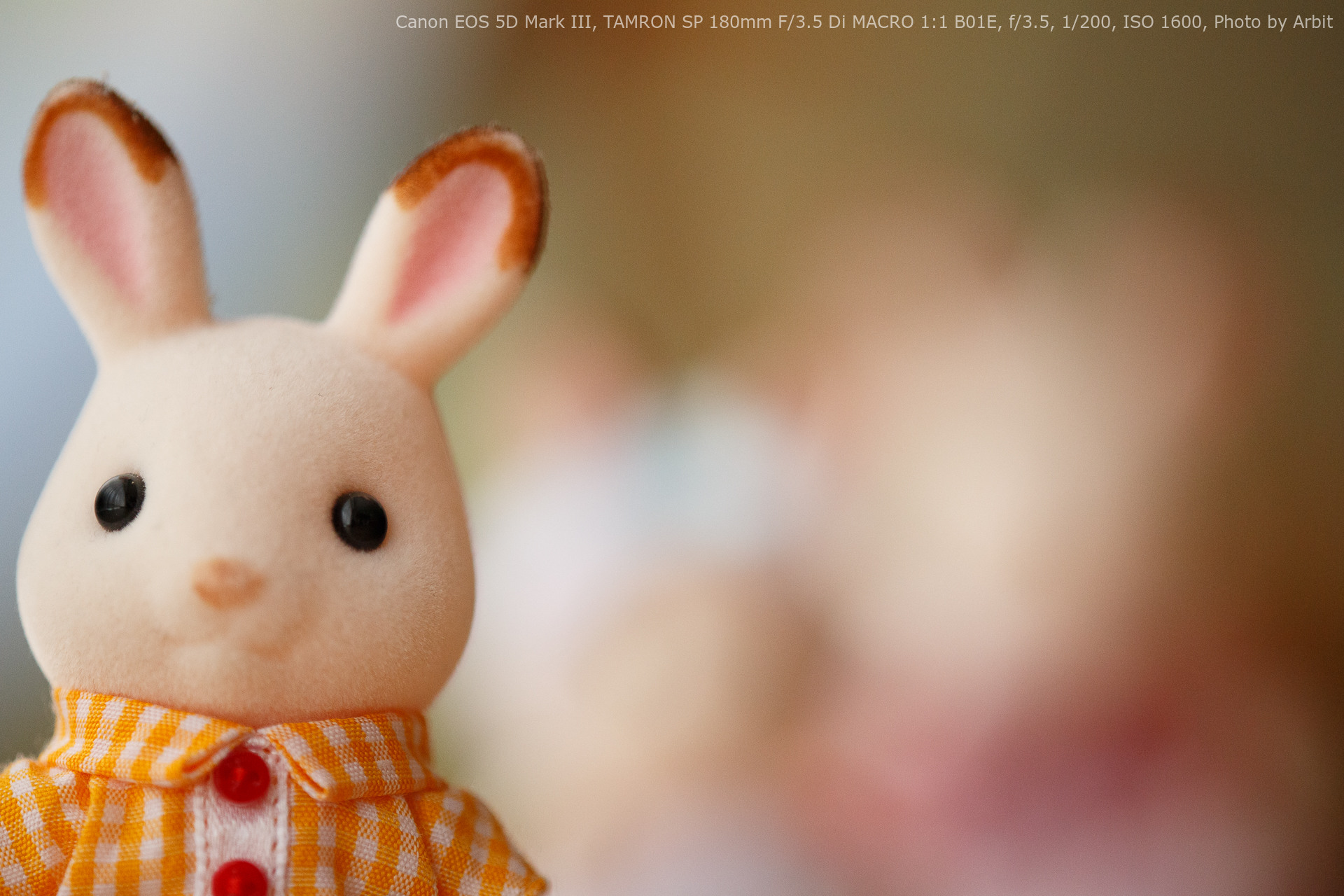 作例】望遠マクロレンズはどれだけボケるのかテストしてみた【Tamron