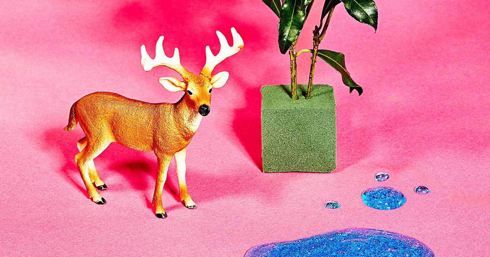 フォトグラファーAKANE、写真展