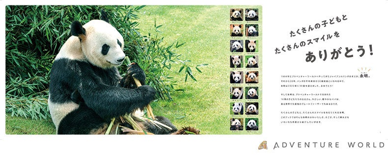 ジャイアントパンダ「永明（えいめい）」30歳記念フォトブック「永明