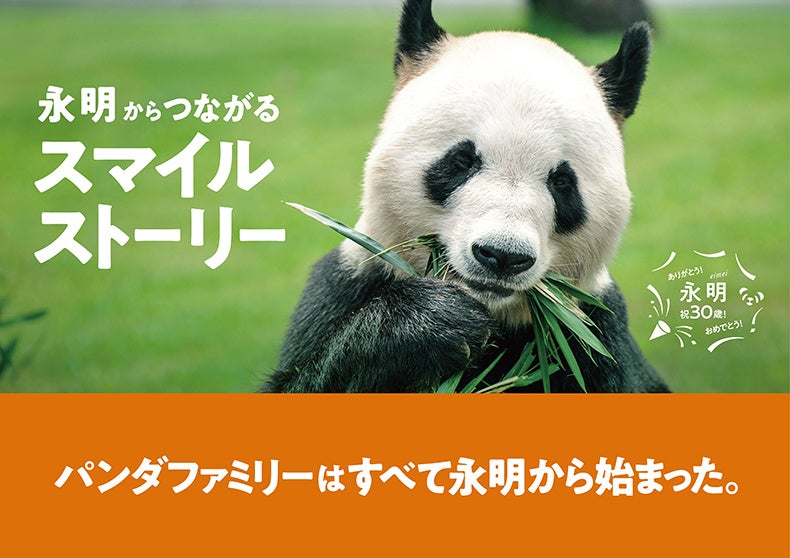 ジャイアントパンダ「永明（えいめい）」30歳記念フォトブック「永明