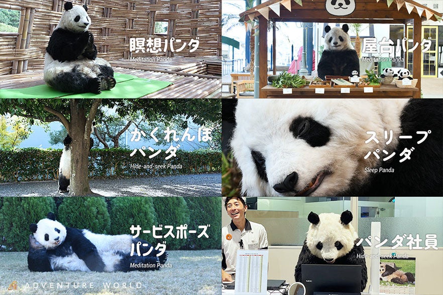 アドベンチャーワールドに新種のパンダ？「新種パンダワールド」がOPEN