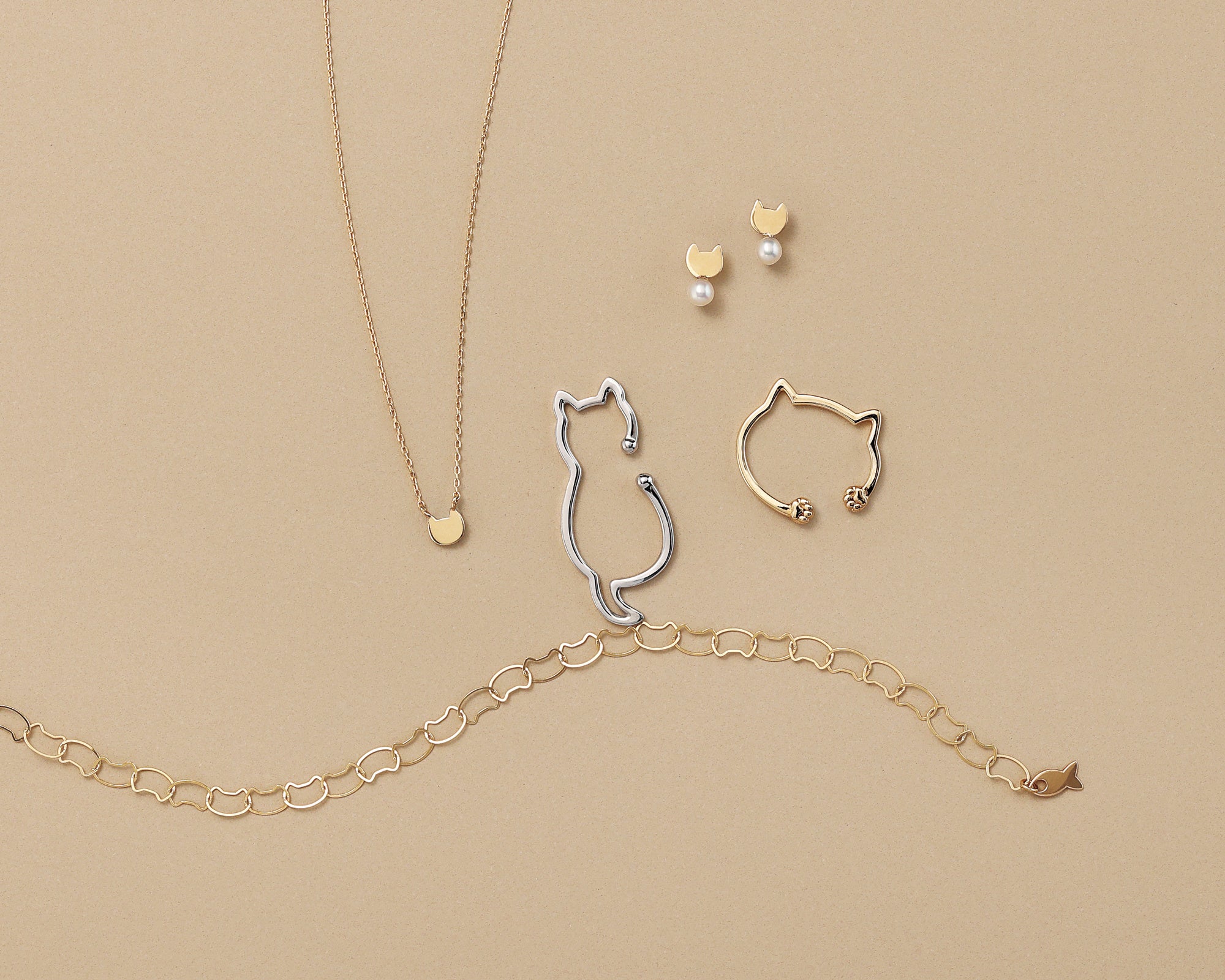 ヴイエー ヴァンドーム青山×公益社団法人アニマル・ドネーション】ネコ