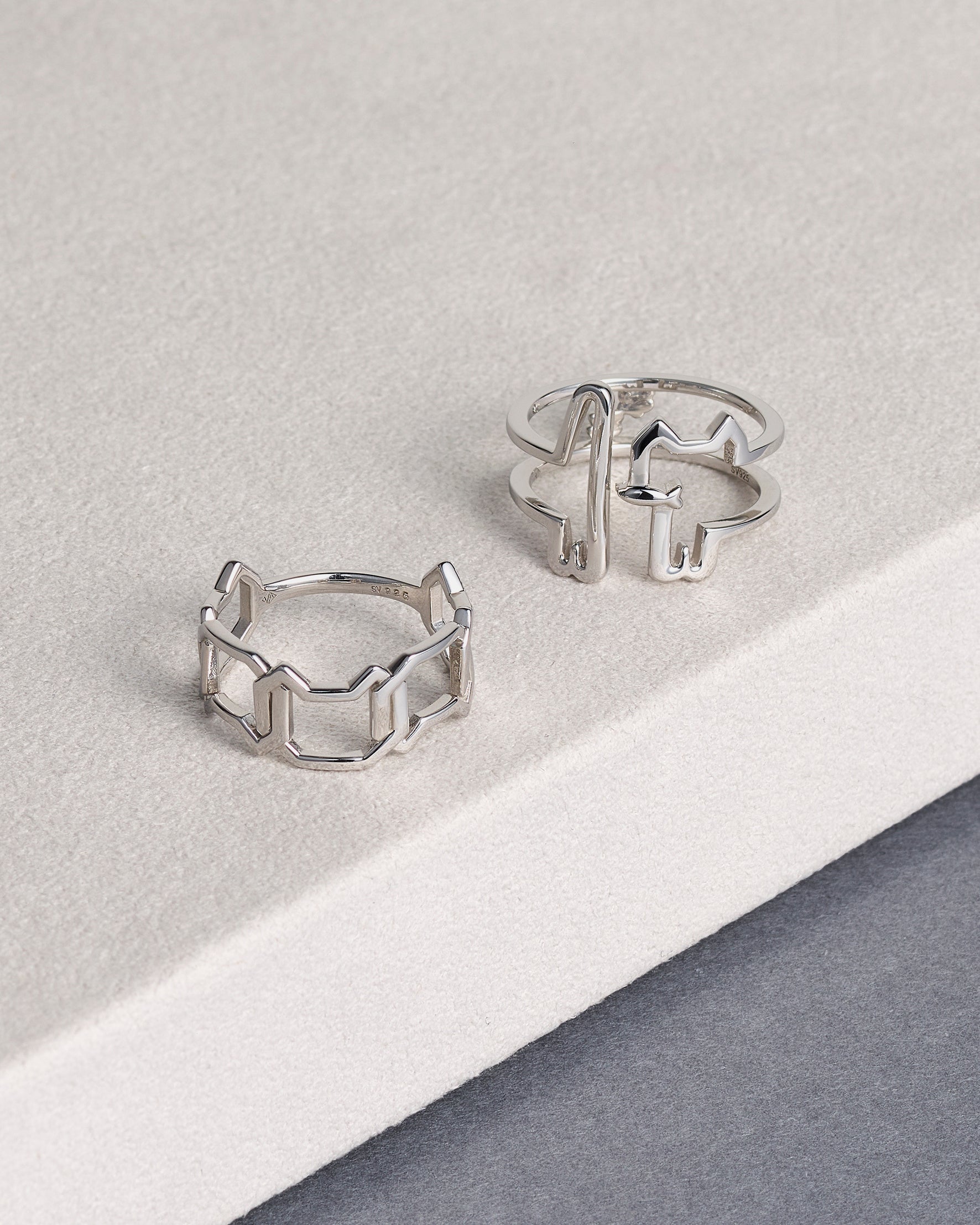 ヴイエー ヴァンドーム青山】1月2日（木）より、「私もねこも一緒に