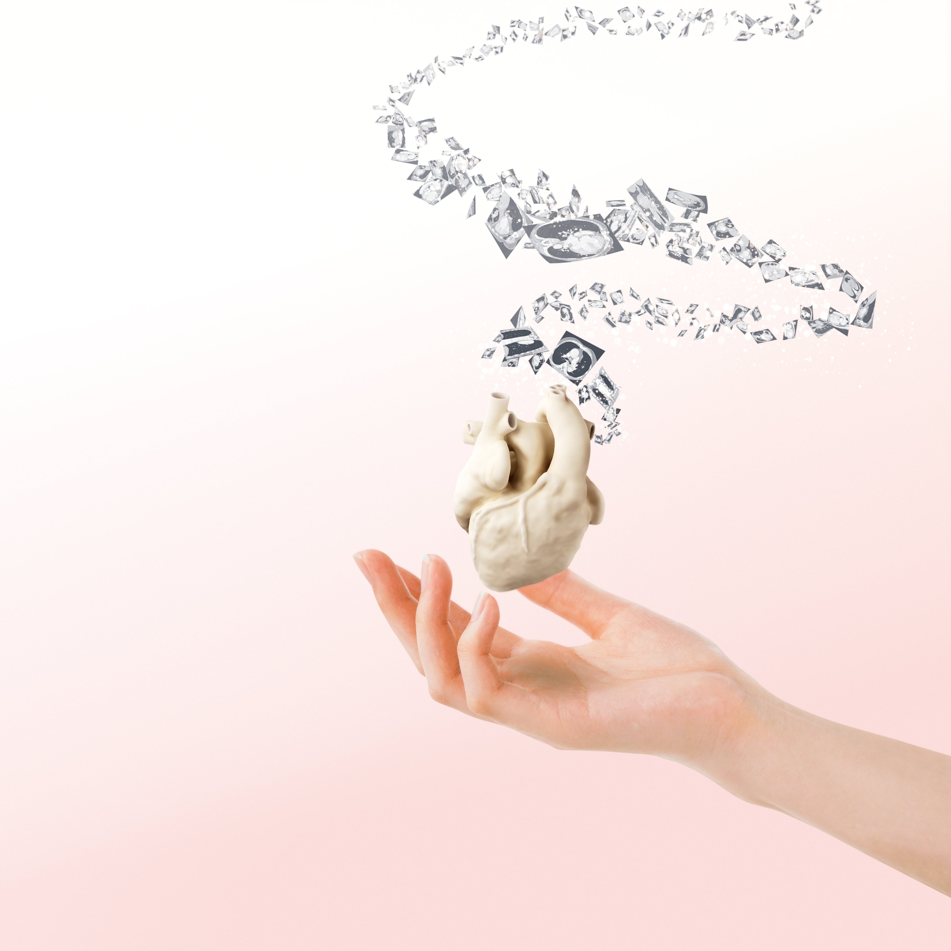 医療の未来を変える、「MedipreX®軟質実物大3D心臓モデル」が世界初※の