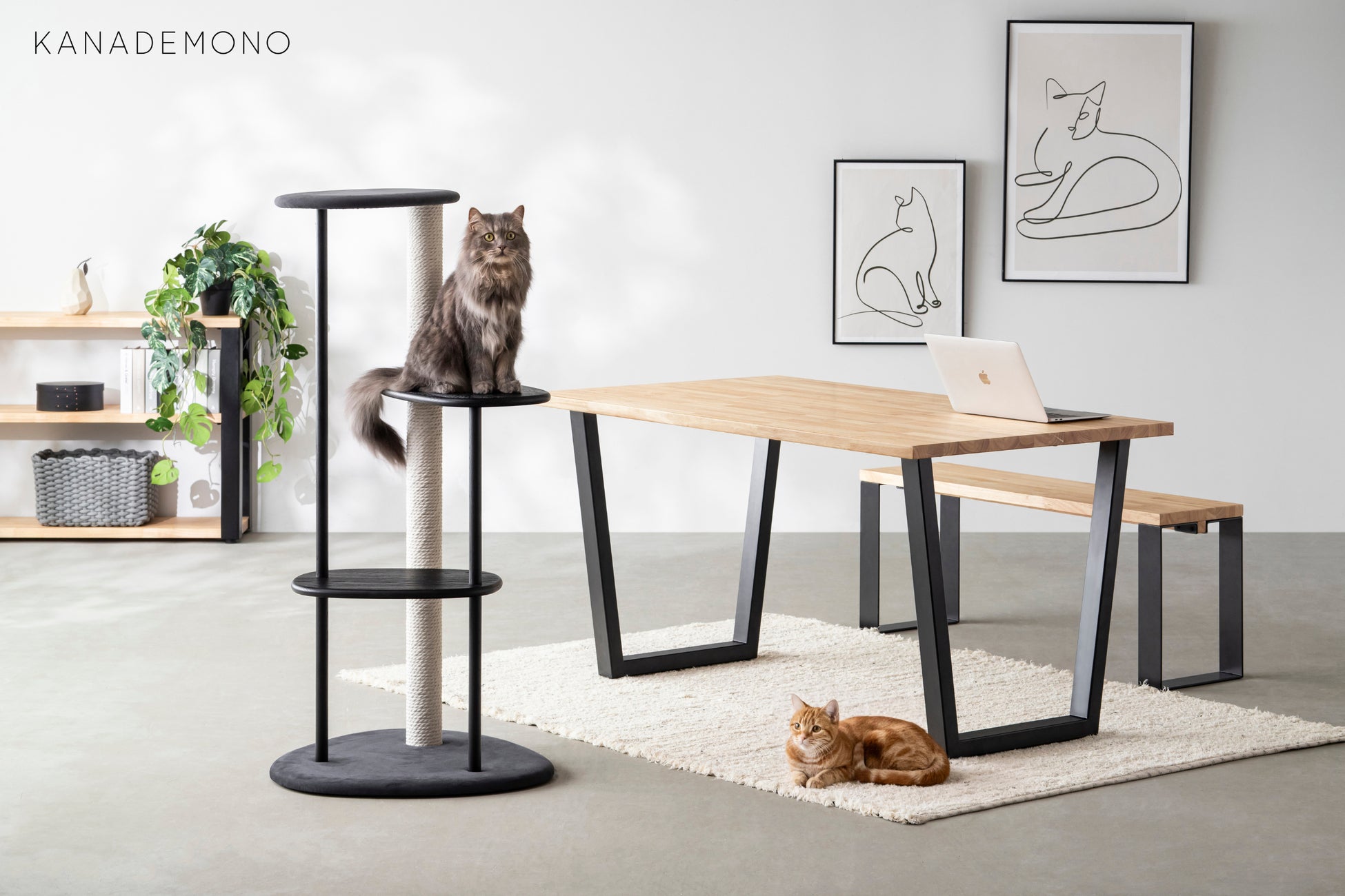 KANADEMONO別注カラー「KARIMOKU CAT TREE」を発売開始。ブラック