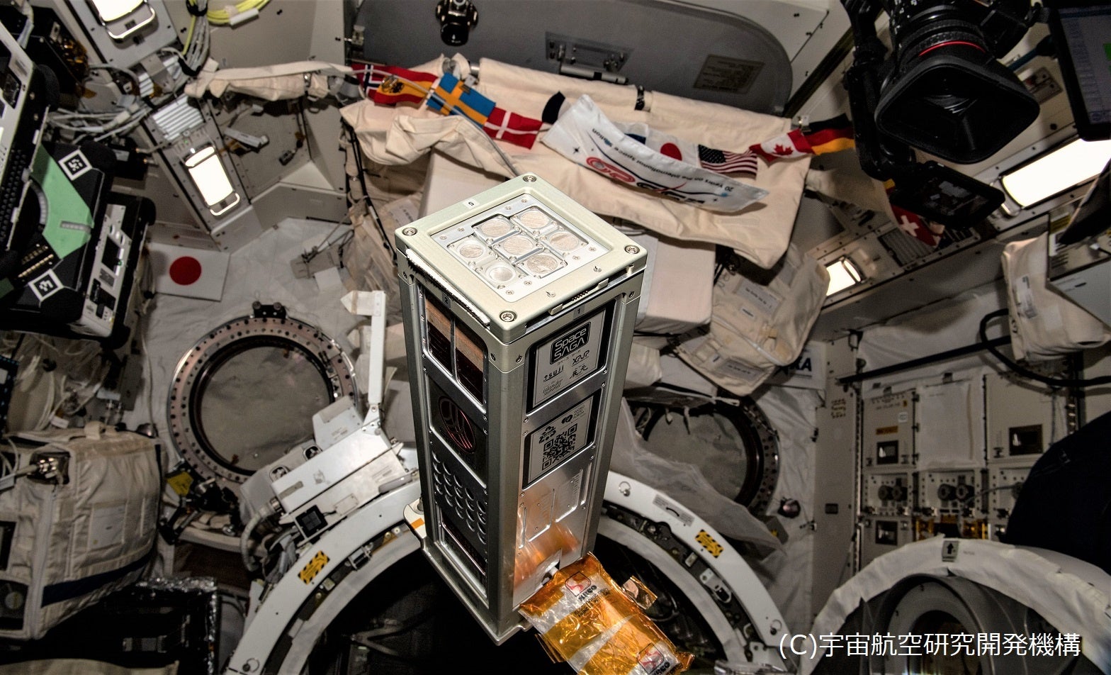 生物はどこから来た？命の起源を探る宇宙空間での実験に取り組んでい