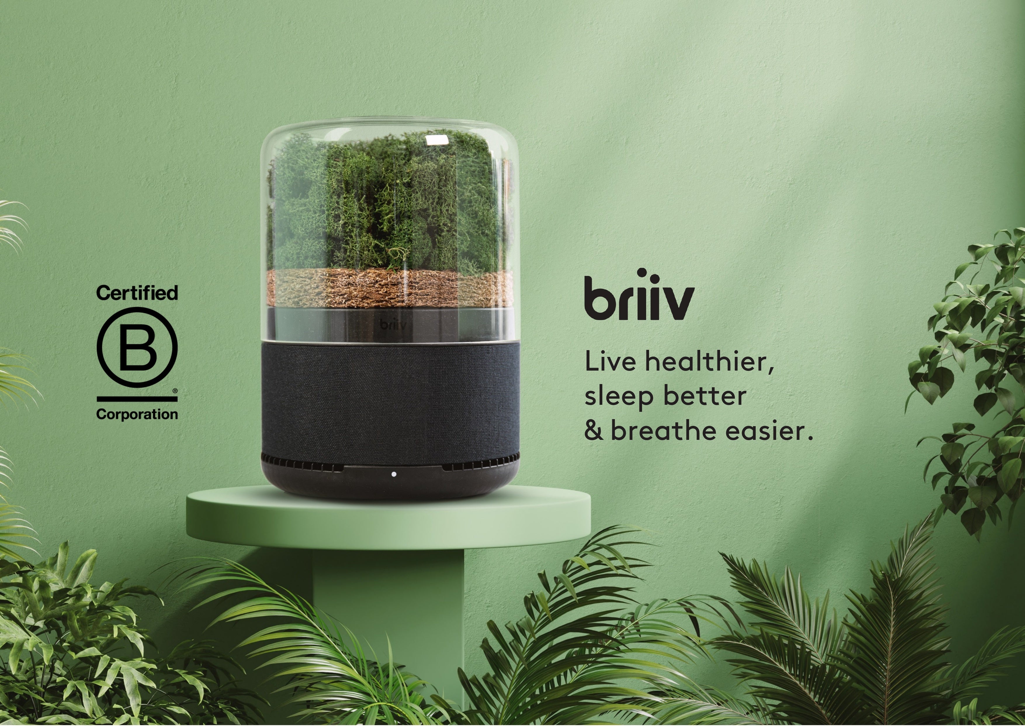 briiv 空気清浄機 英国発 自然派エコ BV0001 Amazon.co.jp: BRIIV