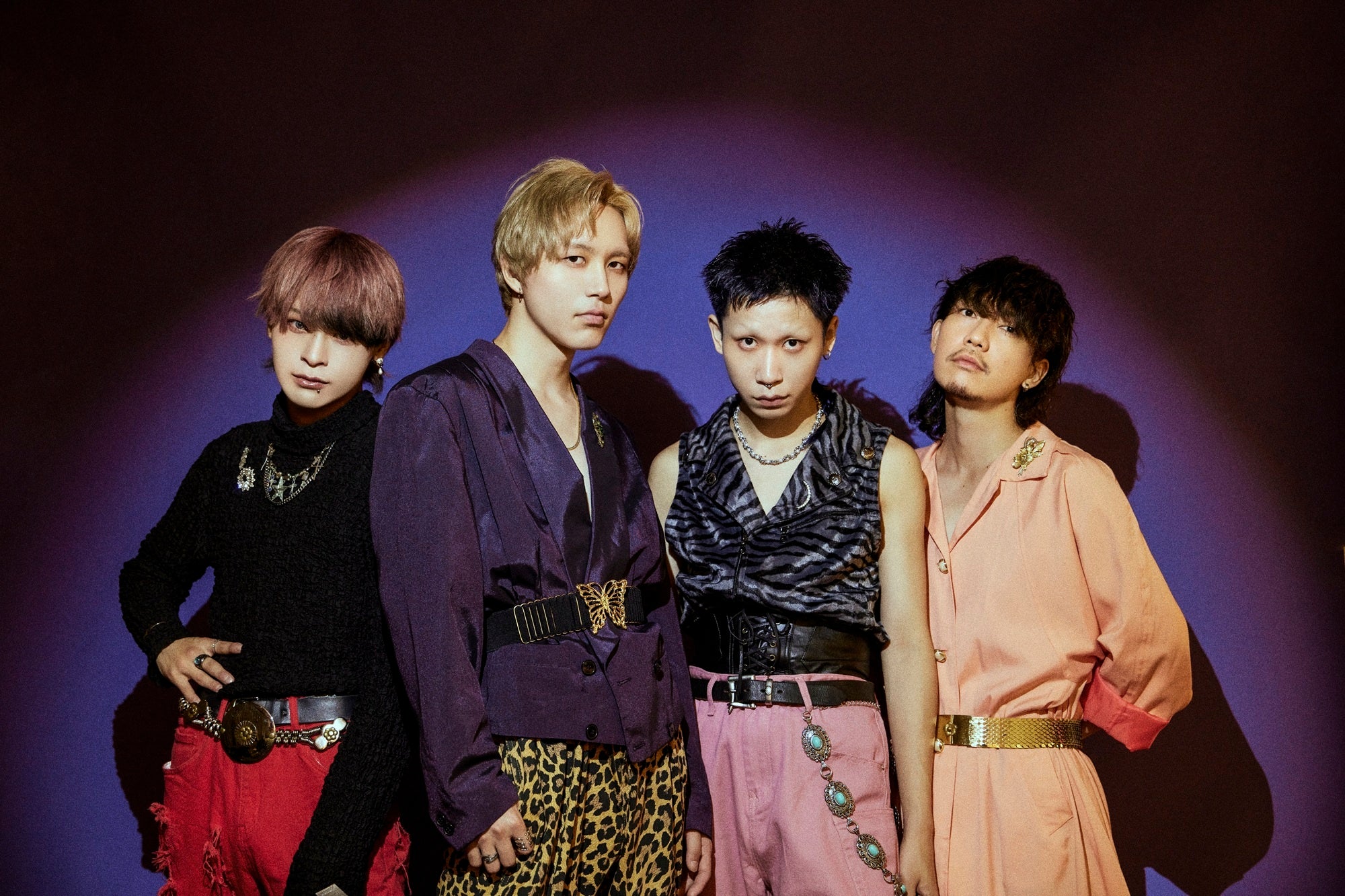 猫背のネイビーセゾン、2026年2月のにゃんにゃんの日、にゃん