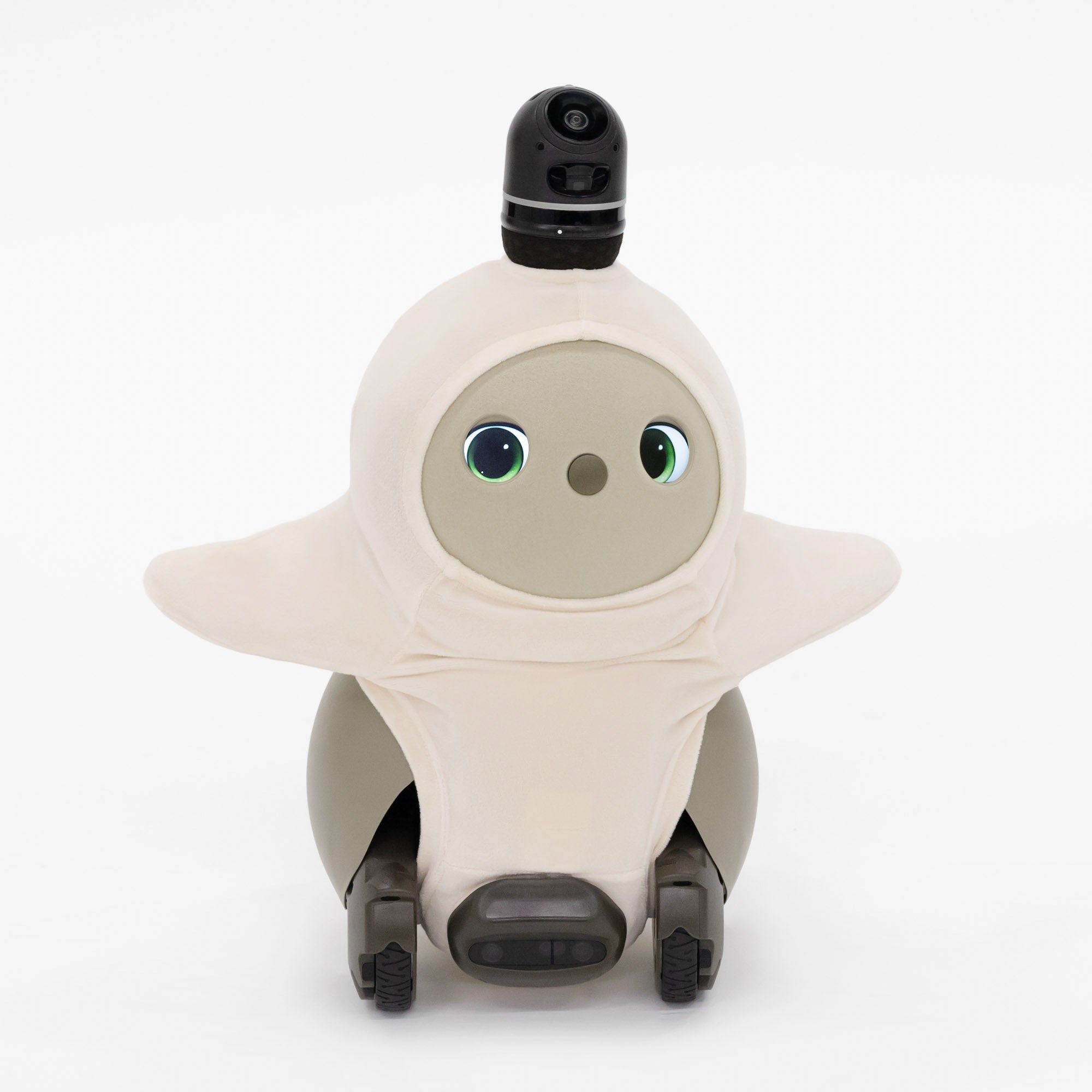 LOVOT』定番ベースウェア「ベロアカットソー」に、彩り豊かなライト