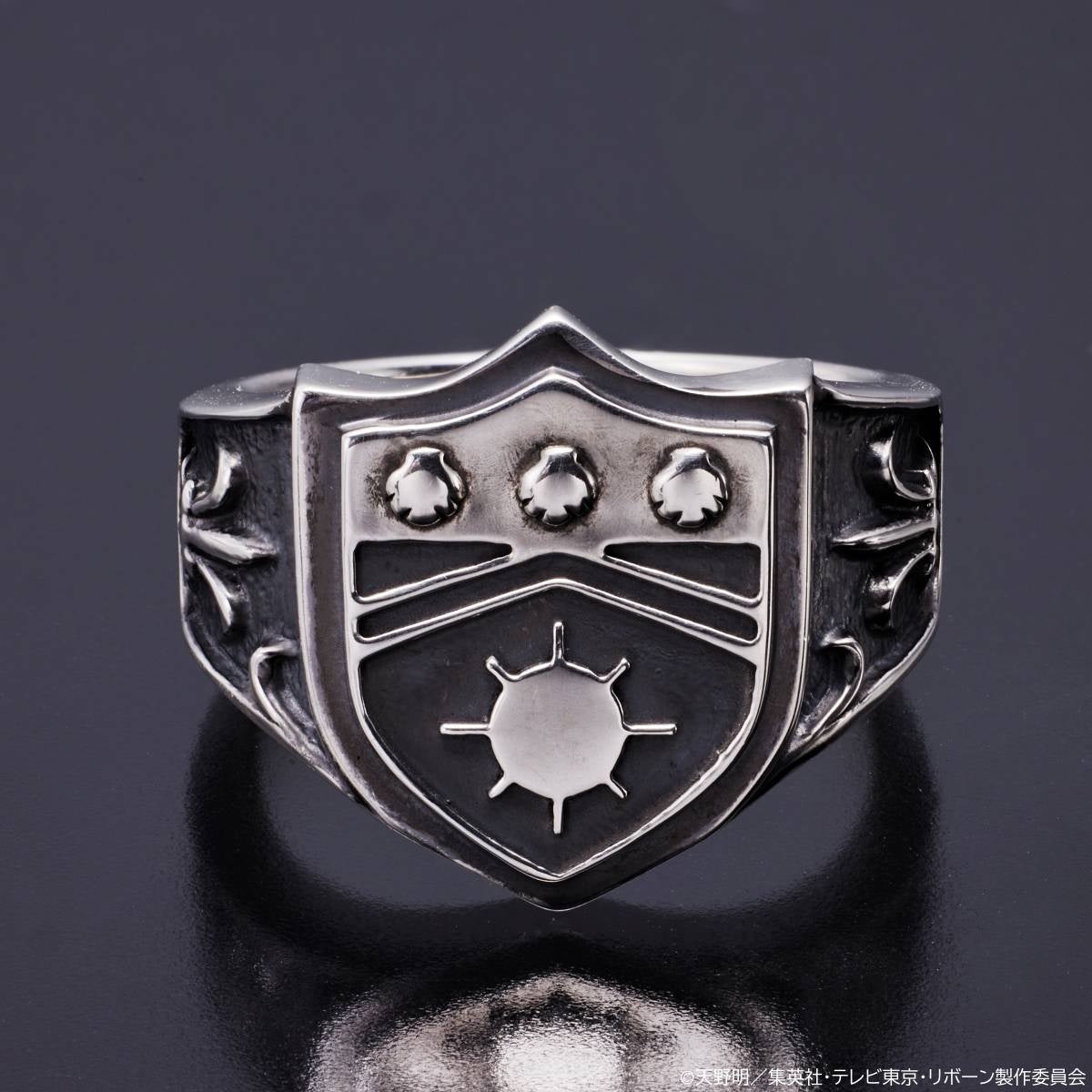 公式 家庭教師ヒットマンREBORN! 大空のボンゴレリングシルバー925製箱