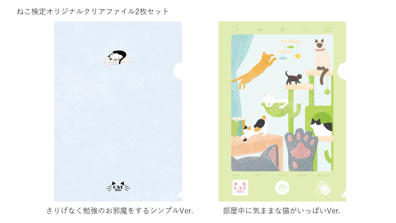 のべ3万人以上が「猫の気持ちをより理解できるようになった」ねこ検定