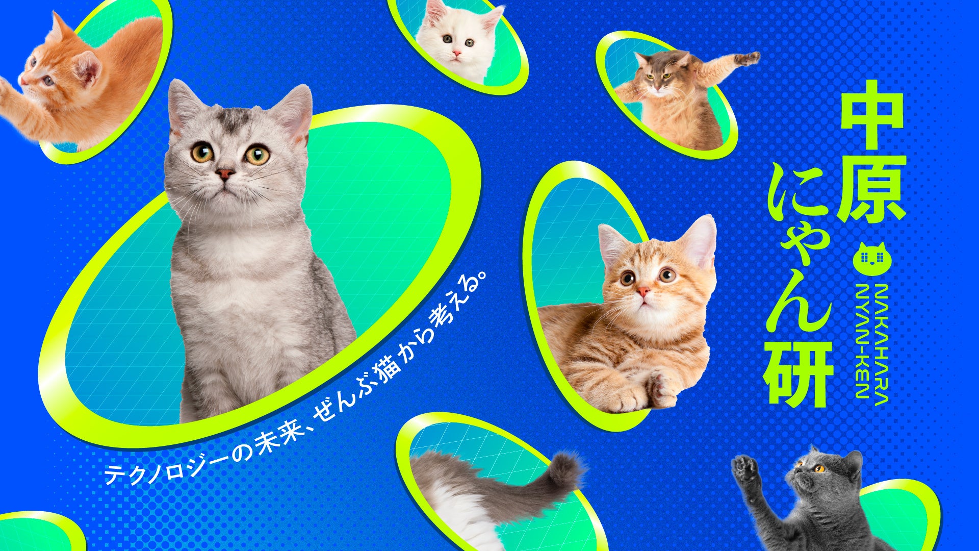 テクノロジーを“猫”で解釈してアイデアを実装するプロジェクト「中原