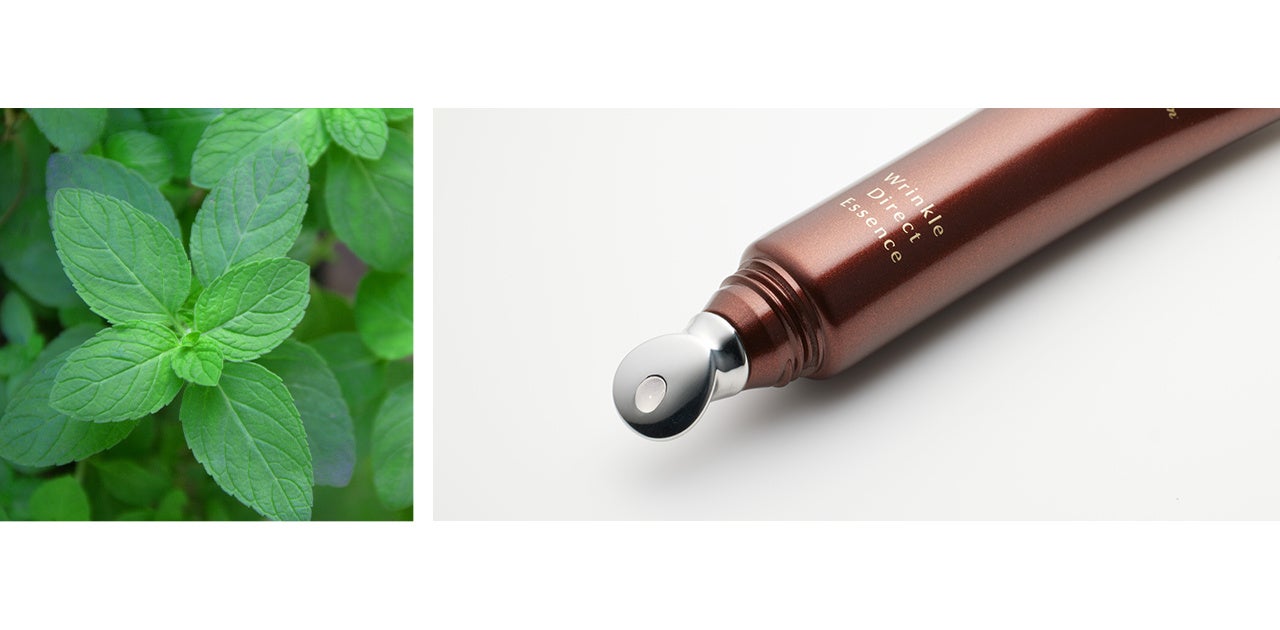 N organic」より最高峰※1 シリーズ「N organic Plenum」が誕生 | 株式