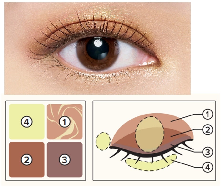 マキアージュから新しい自分に出会える限定コレクション登場