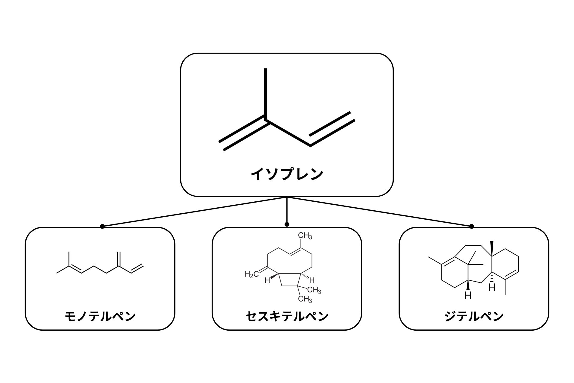 CBD商品開発に使えるテルペンの取り扱い種類を拡大、より少量からの
