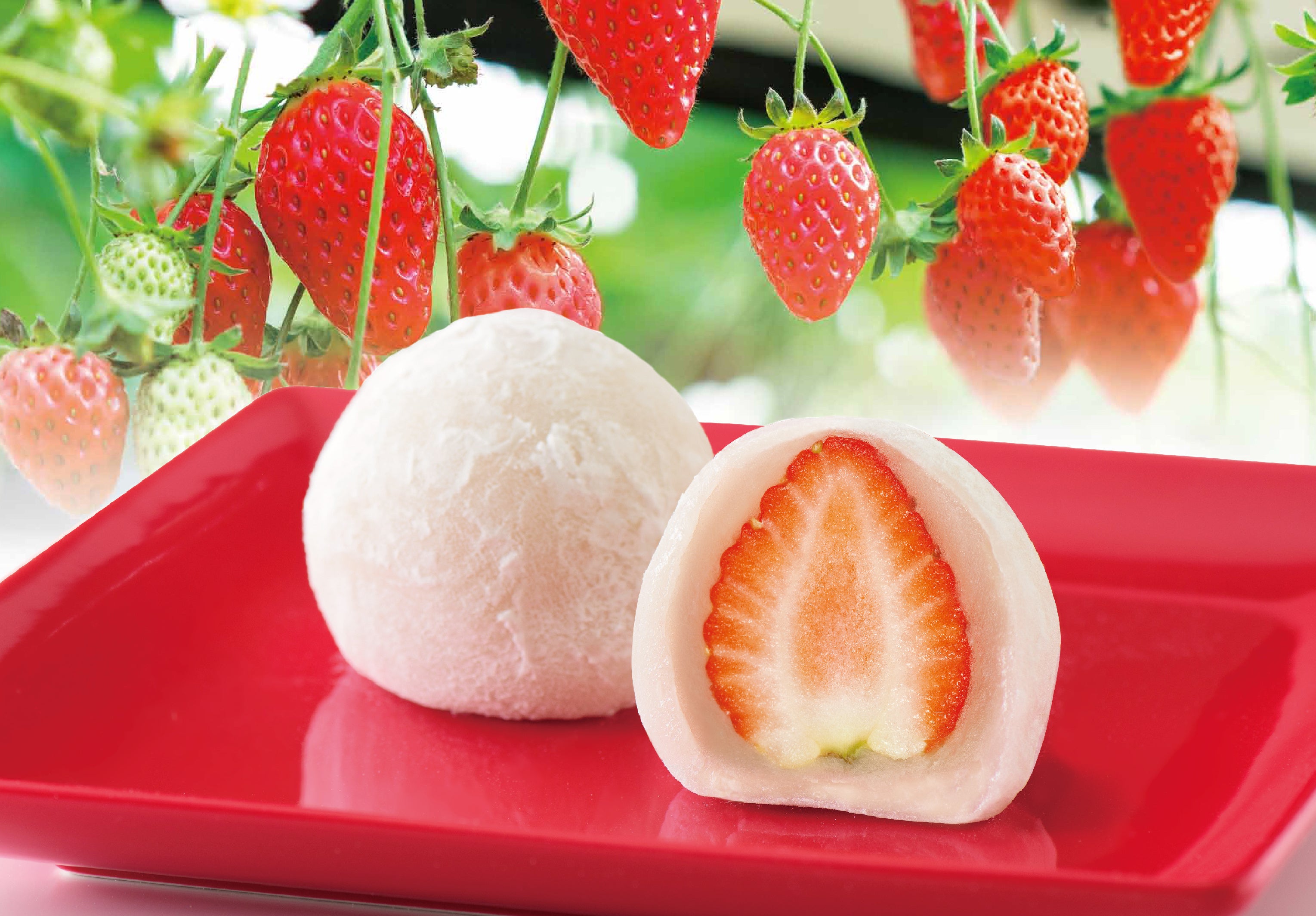 岡モータース いちご大福 岡モータース いちご大福