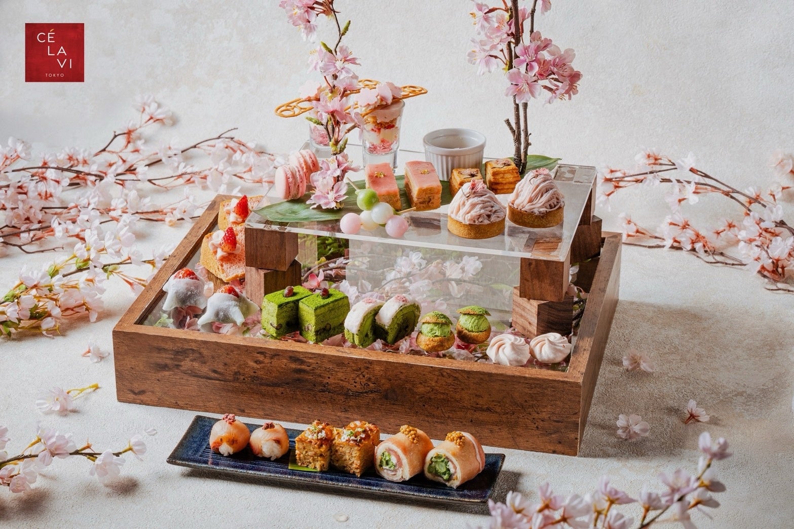 S*a様 Bashful lam Afternoon Tea S*a様 Bashful lam Afternoon Tea S