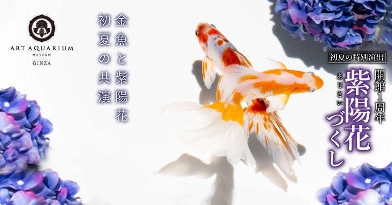 梅雨シーズンもおでかけして季節ならではの癒しを！ 紫陽花（あじさい