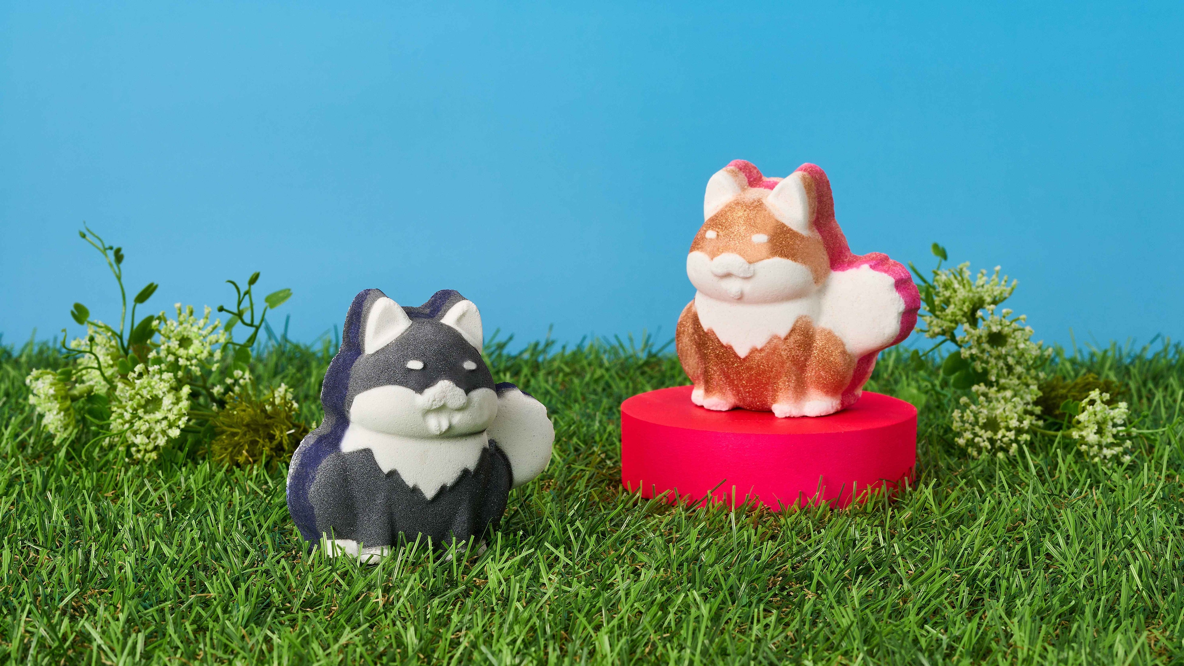 ナチュラルコスメブランドLUSH＞柴犬の可愛さが炸裂！はちみつのように