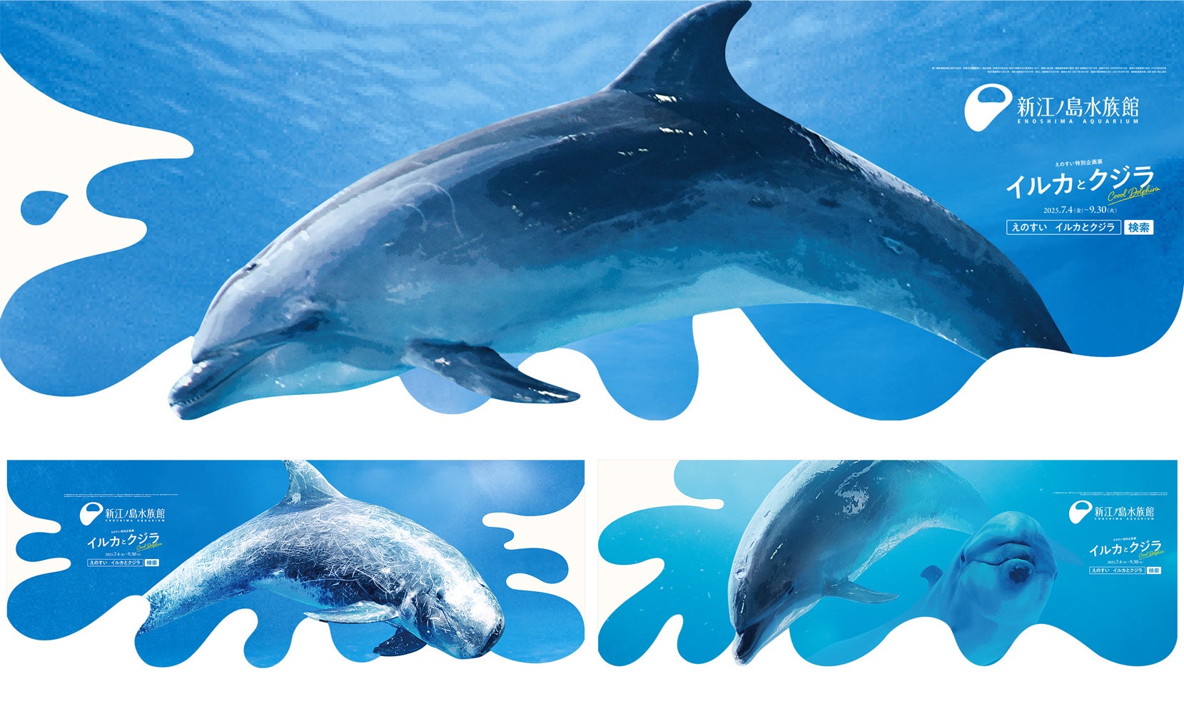 期間限定】“えのすい”が今年の夏も小田急線をジャック！イルカとクジラ