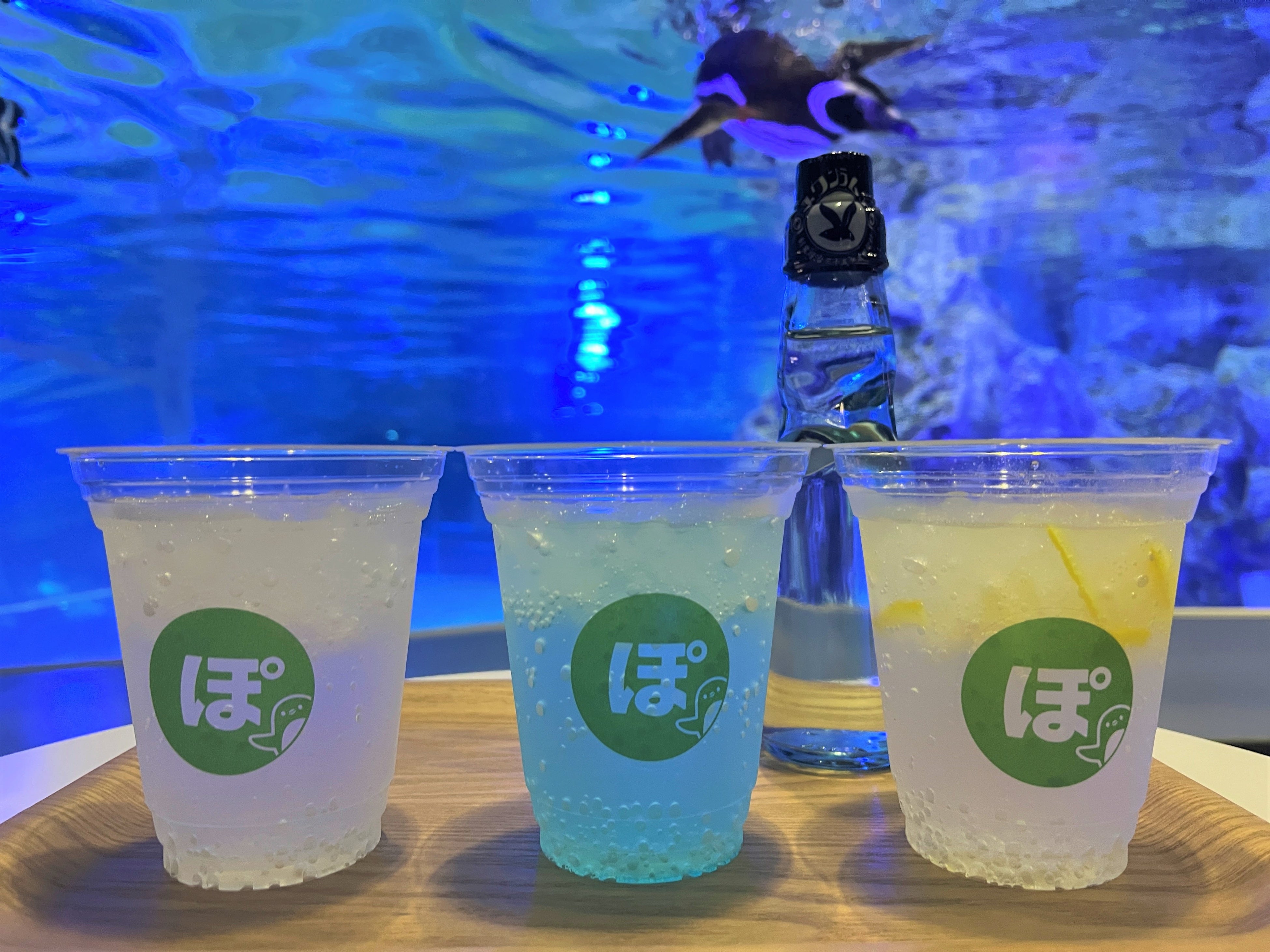 すみだ水族館のマゼランペンギン「ぽんず」とミツカン「ぽん酢」7月19
