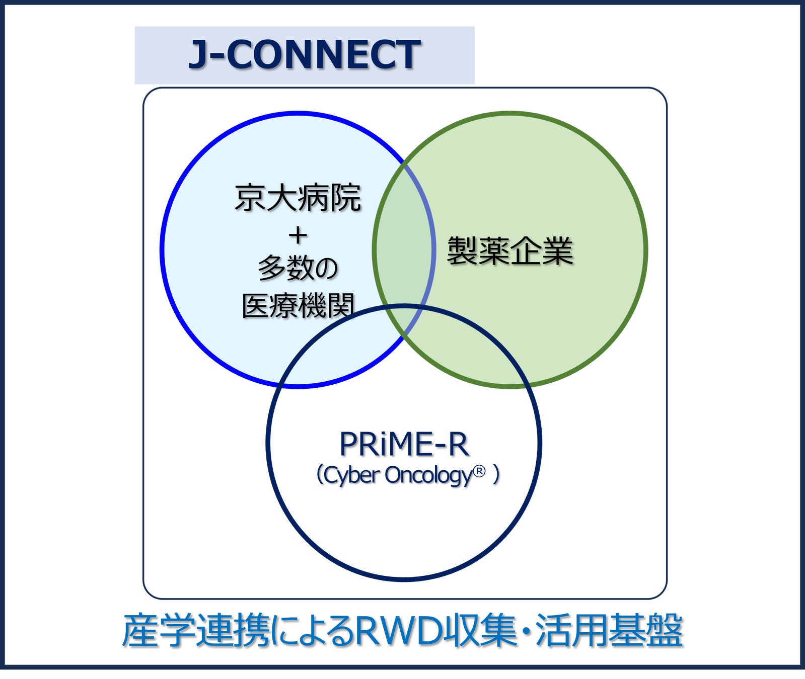 J-CONNECT の創設及び後向き大規模リアルワールドデータ収集（CONNECT
