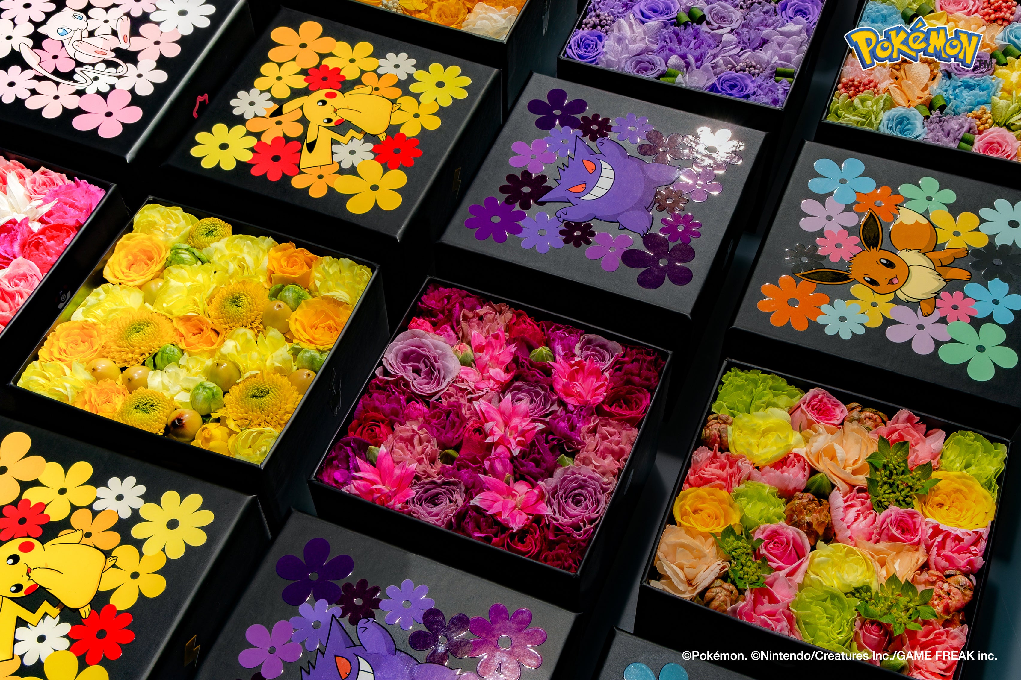 Nicolai Bergmann × Pokémon 11/25(火)に発売開始！ | Nicolai