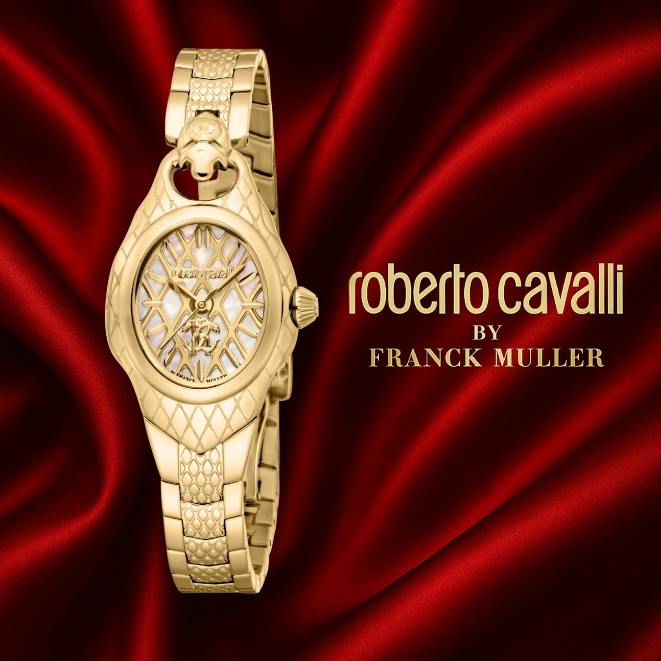 ロベルト・カヴァリ BY フランク・ミュラー』から、象徴的な“蛇”を纏っ
