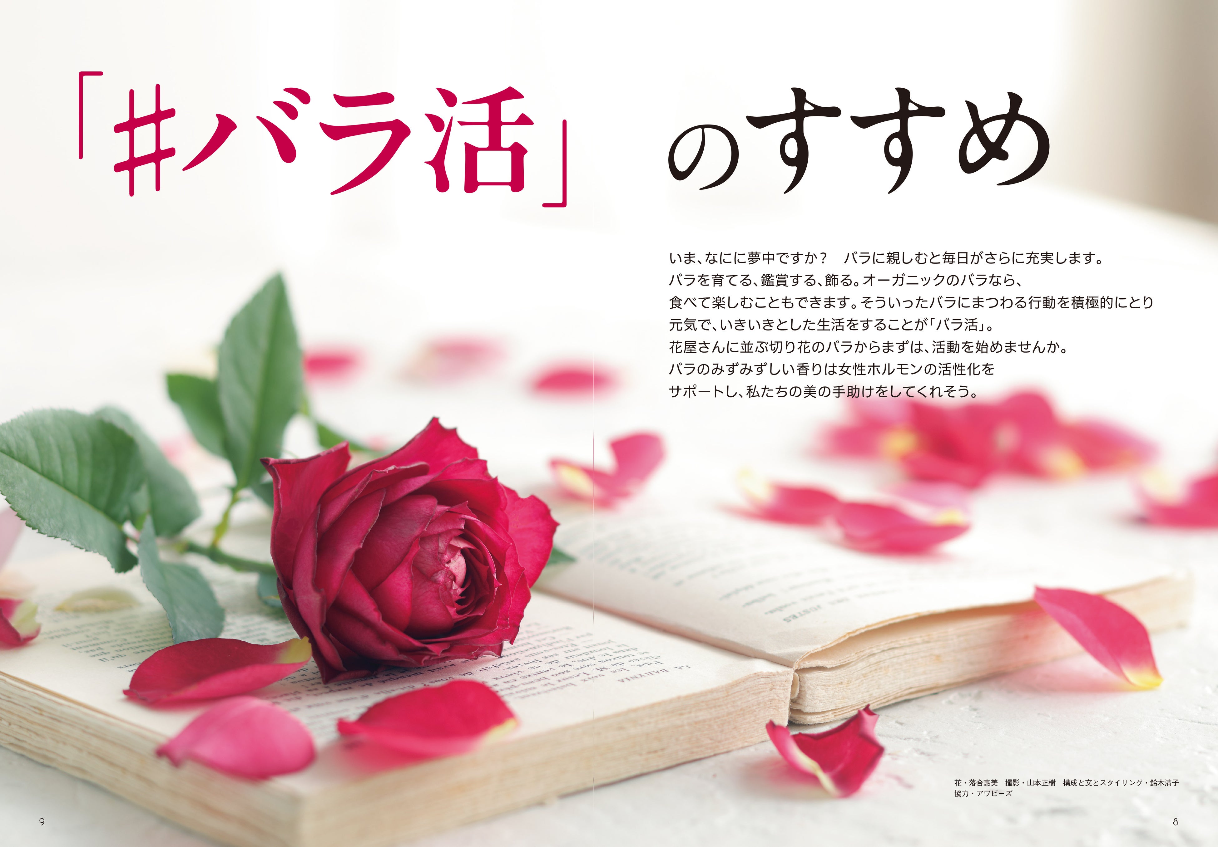 456品種のバラ図鑑がスマホで見られる！ バラを楽しみ尽くす『花時間