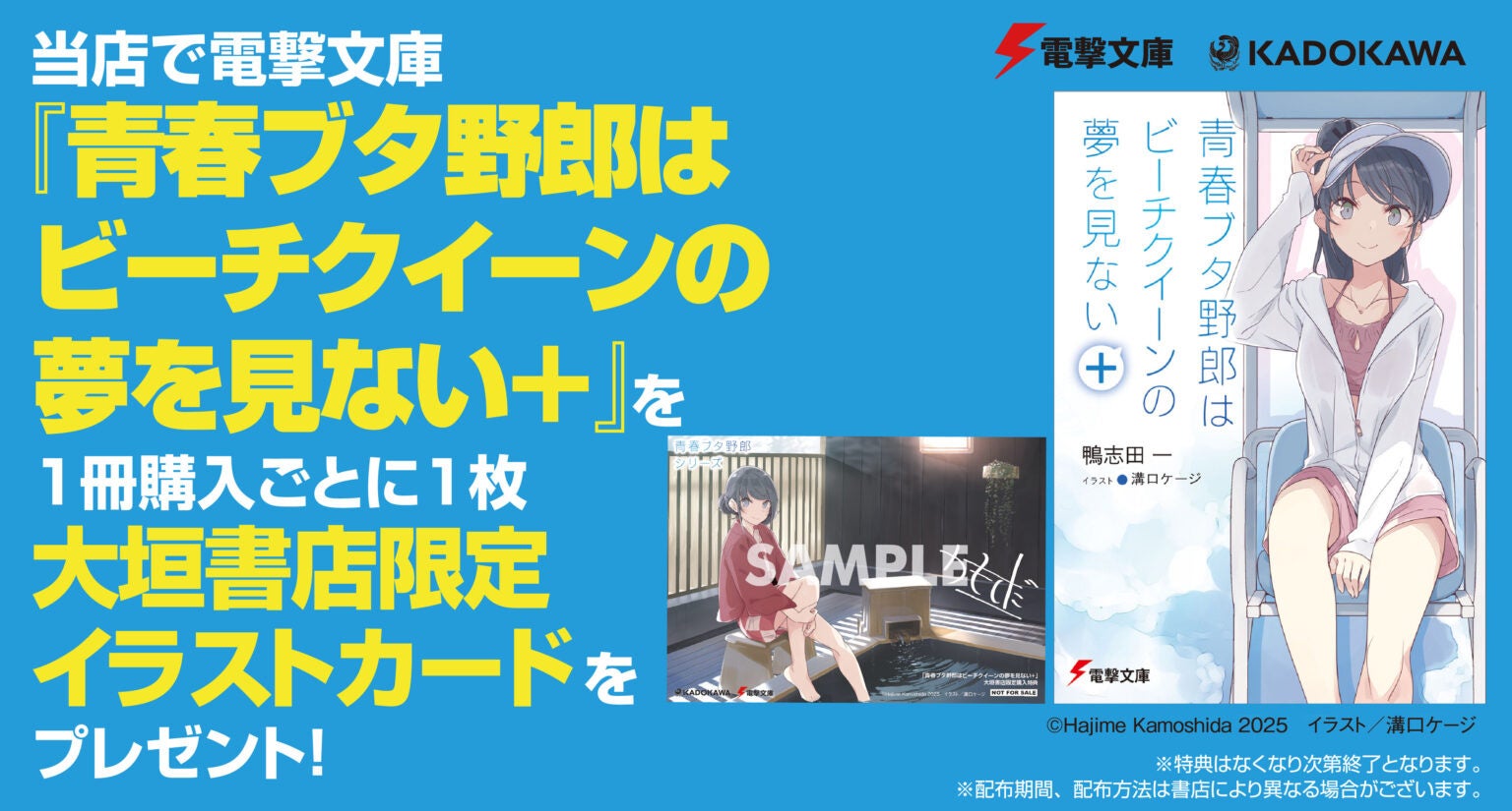 青ブタ』初の短編集『青春ブタ野郎はビーチクイーンの夢を見ない＋』が