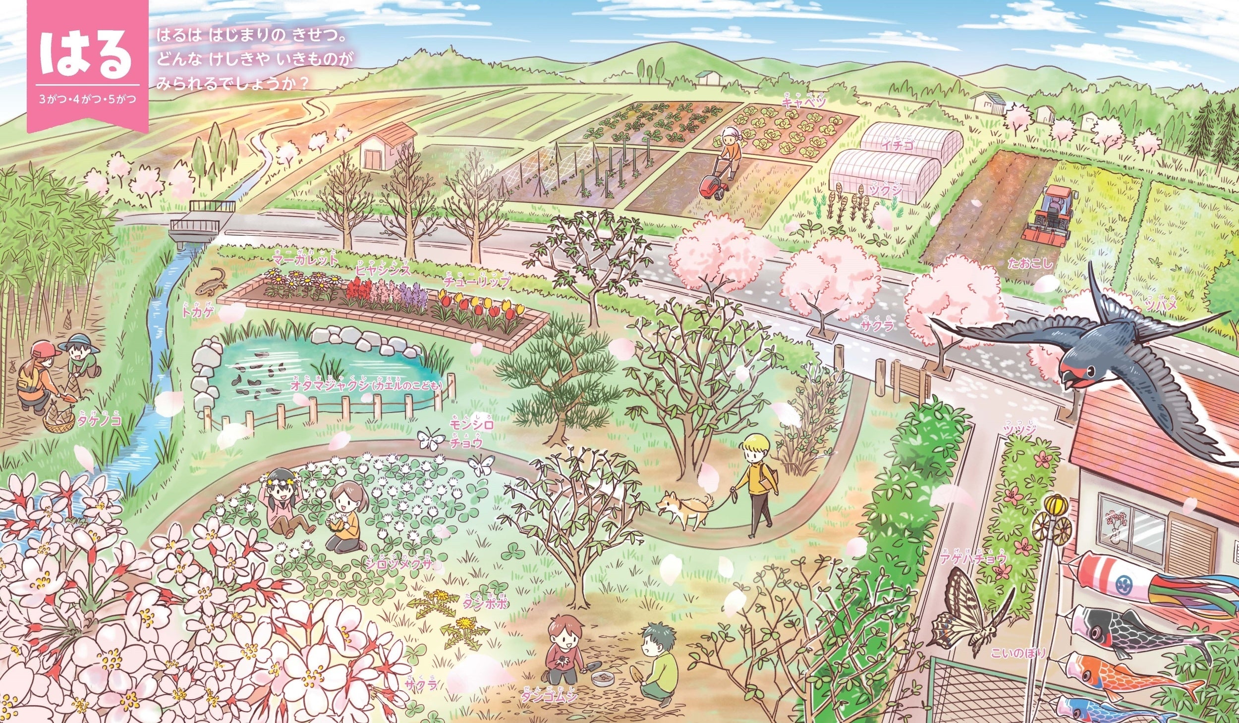 こんな図鑑がほしかった！ 非認知能力をはぐくむ 3歳からの「季節」の