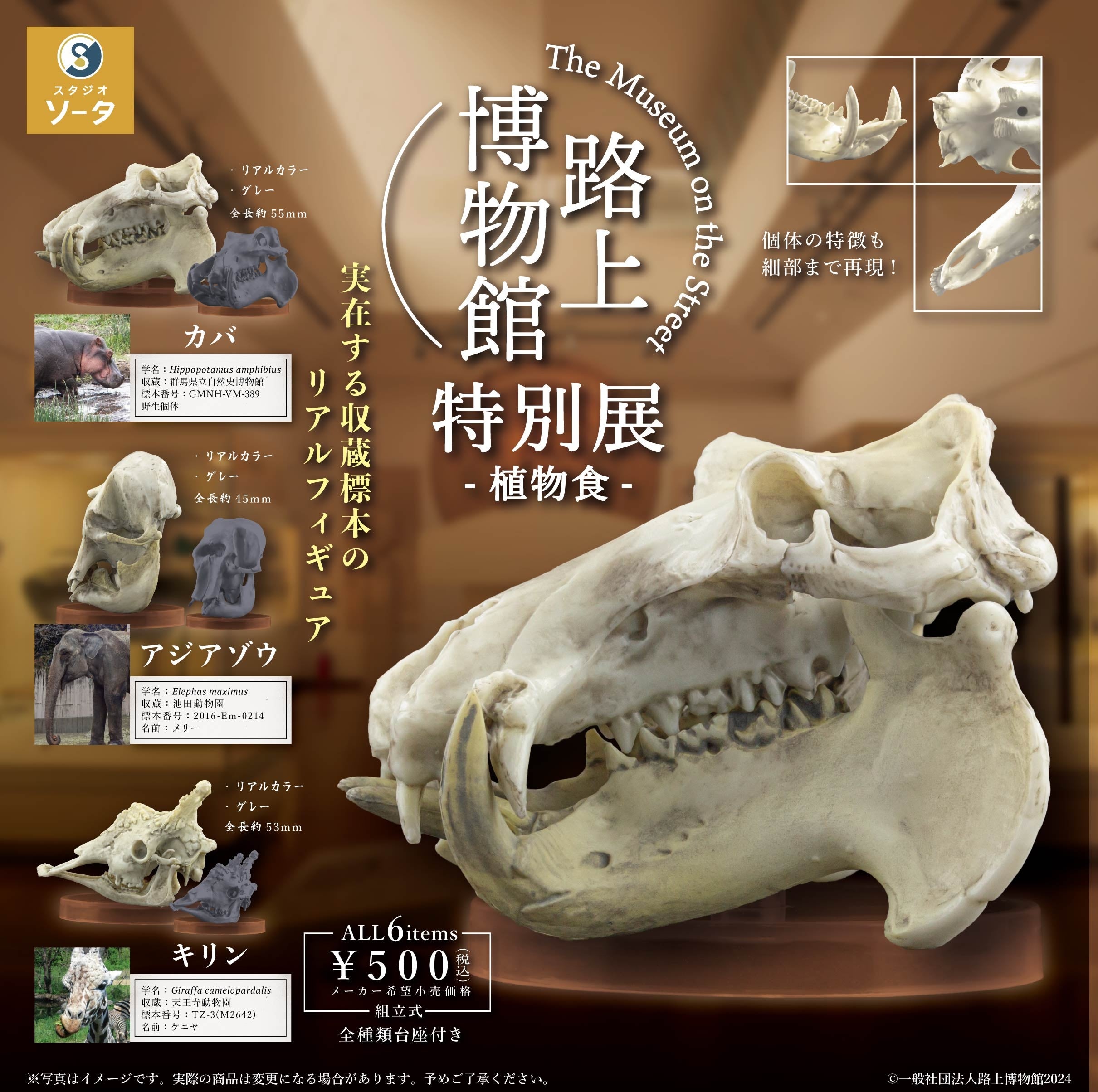 天王寺動物園＆群馬県立自然史博物館＆池田動物園由来のキリン・カバ