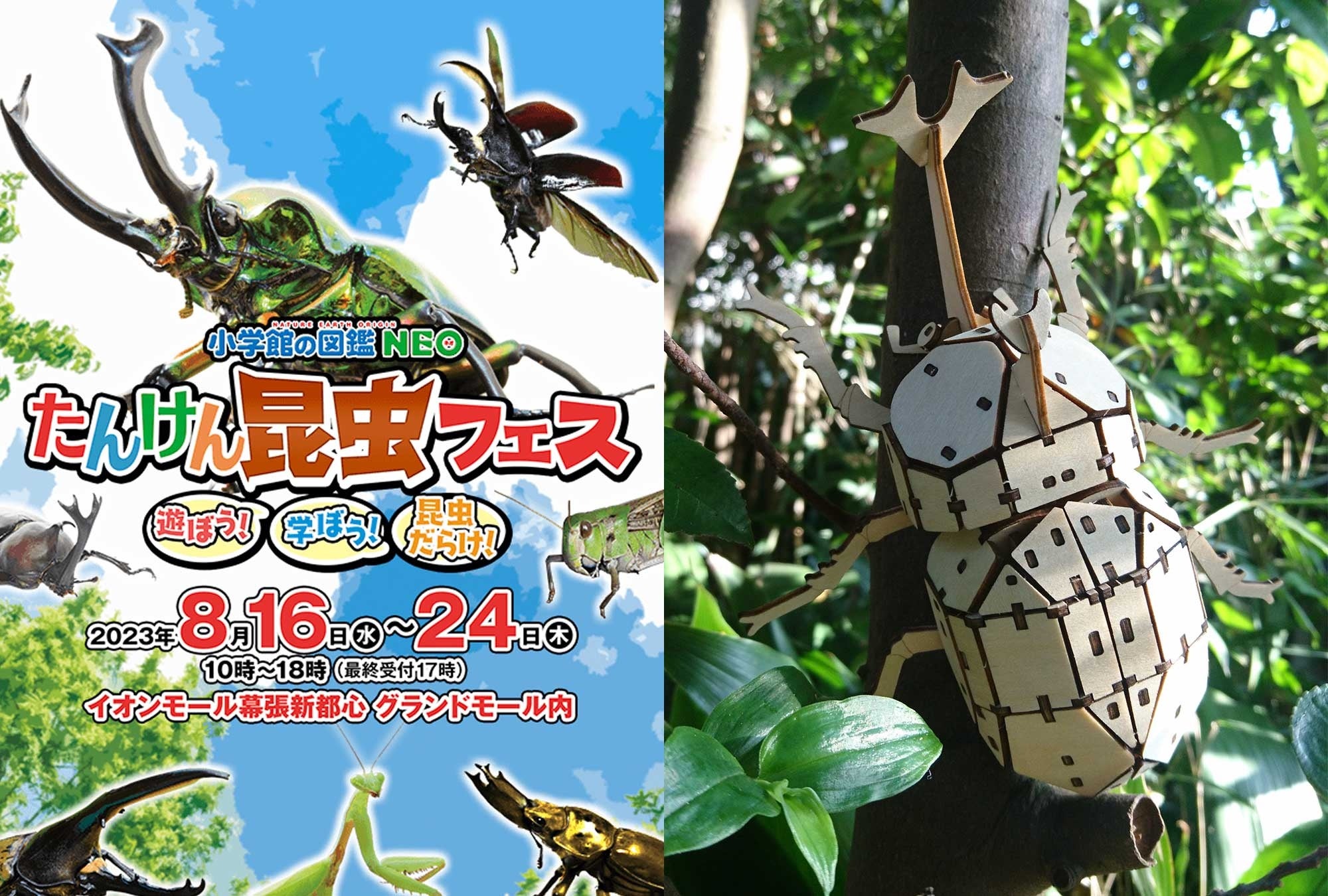 つくるんです®の図鑑付き3Dウッドパズル「ポケットバグズ」シリーズを