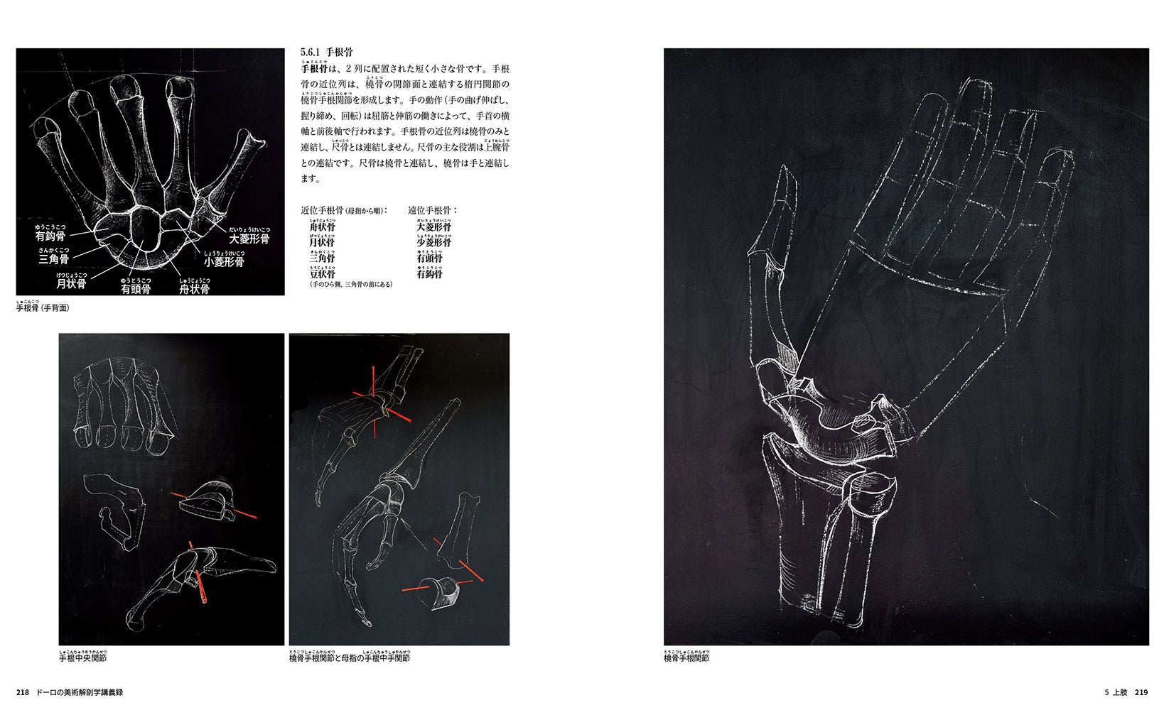 人間の動きと表現を立体的に解説。標本や板書を駆使した世界最高水準の