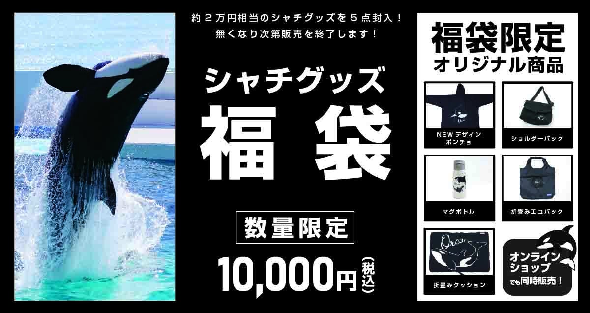 鴨川シーワールド】鴨川シーワールドのシャチグッズ福袋が登場！2024年