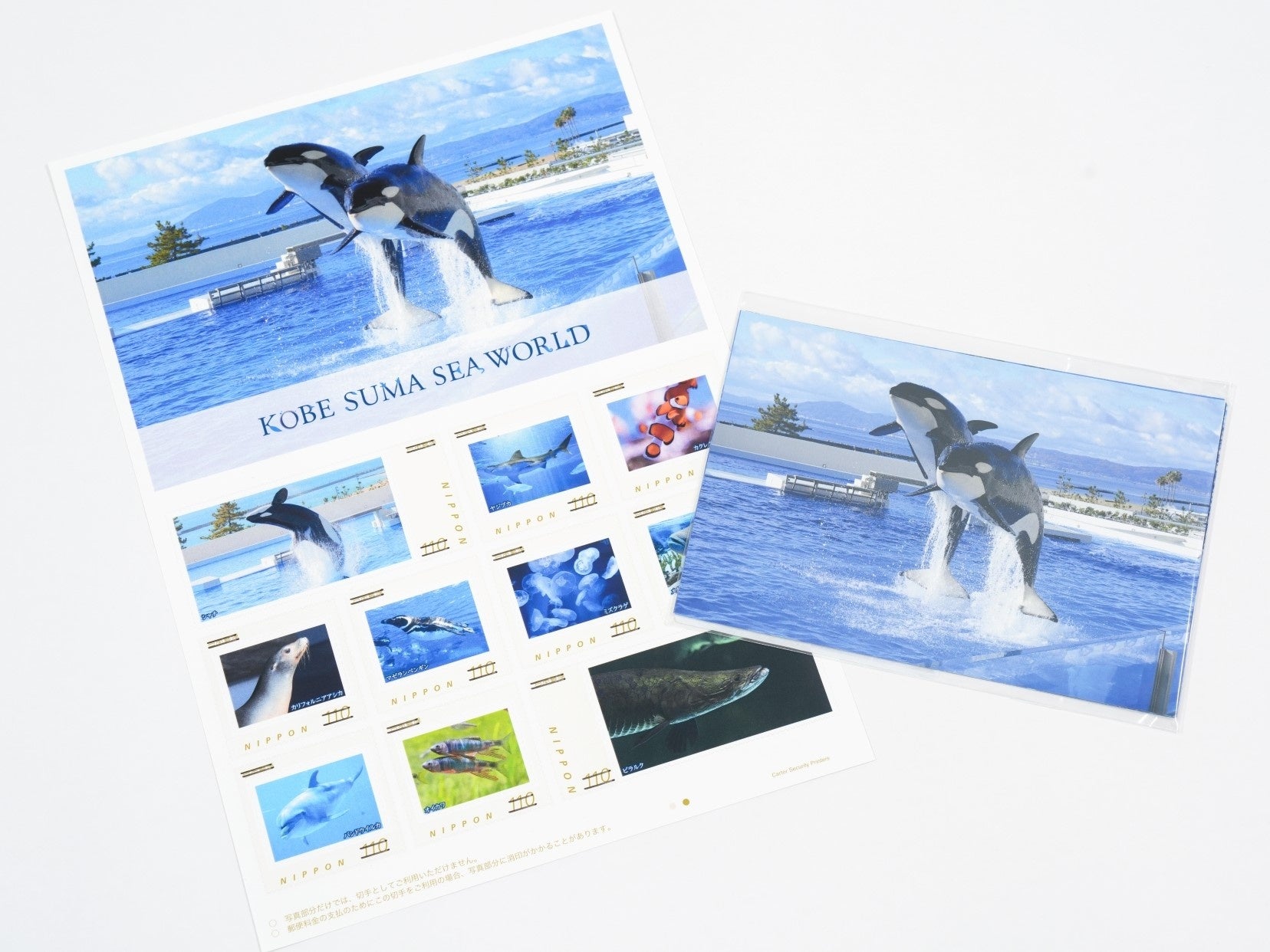 神戸須磨シーワールド・神戸須磨シーワールドホテル】6月1日（日）で