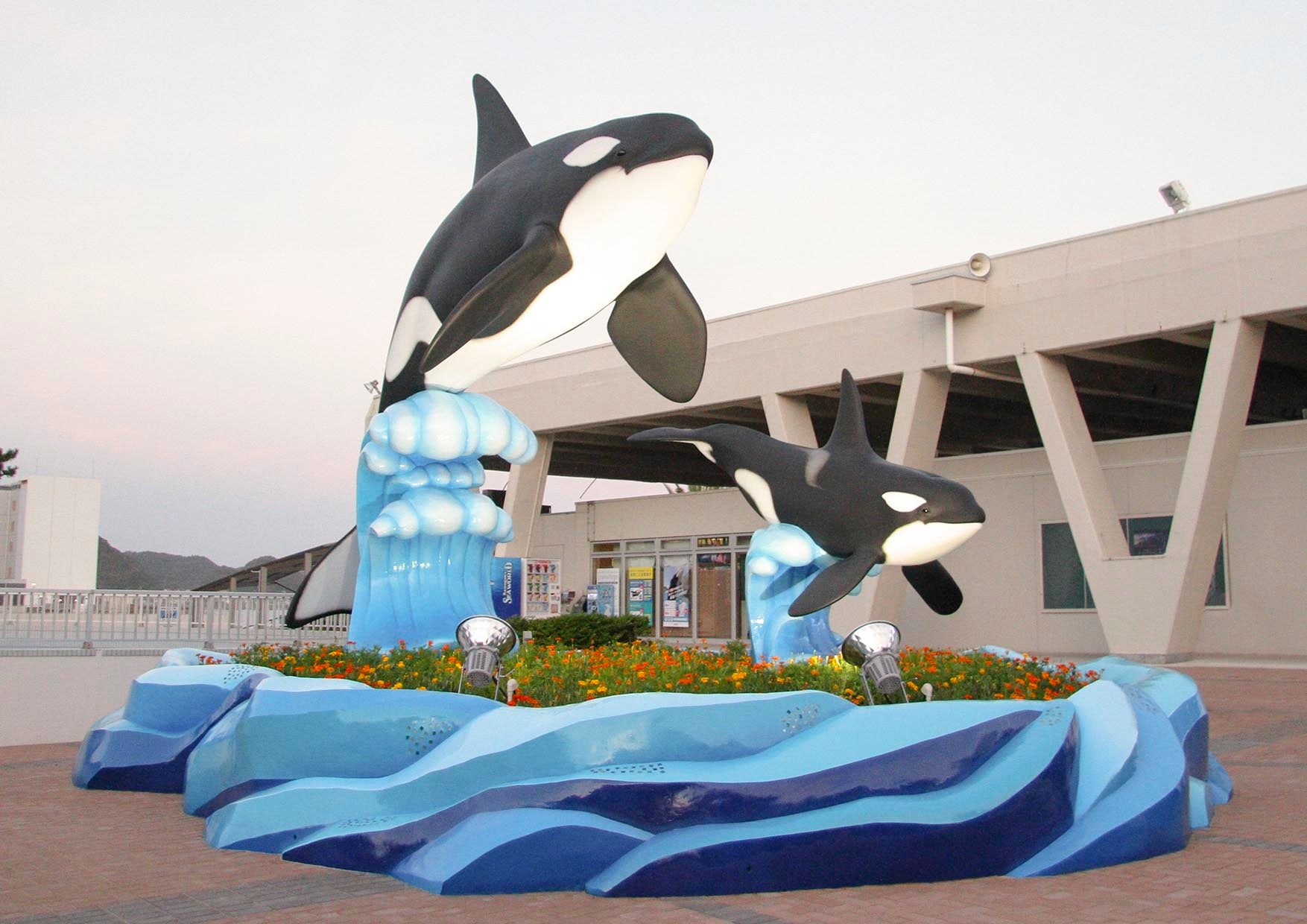 鴨川シーワールド 開業50周年を記念した 二代目シャチモニュメントを